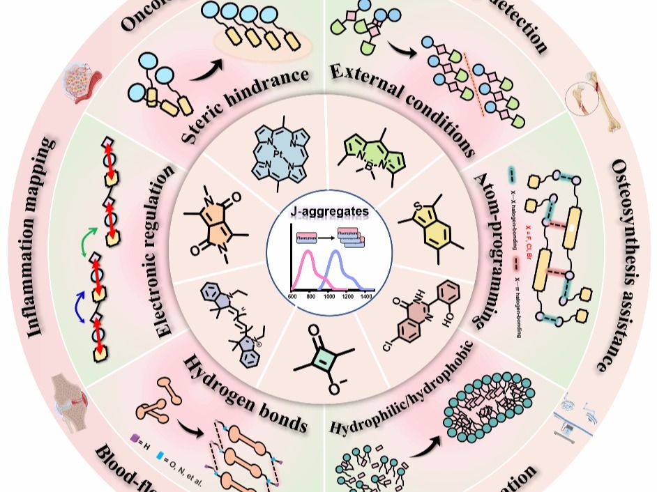 我院青年教师胡晓明博士在国际顶级期刊Advanced Materials上刊发高水平论文